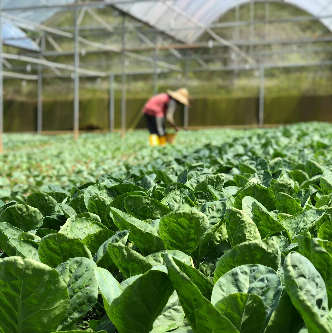 Sustainability